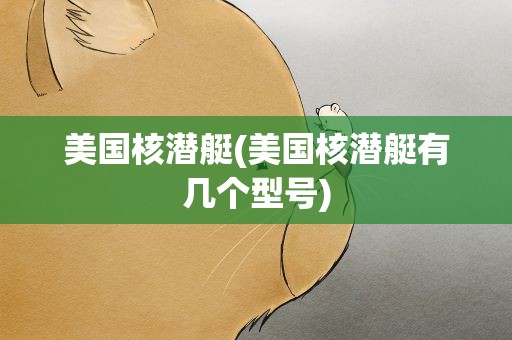 美国核潜艇(美国核潜艇有几个型号)