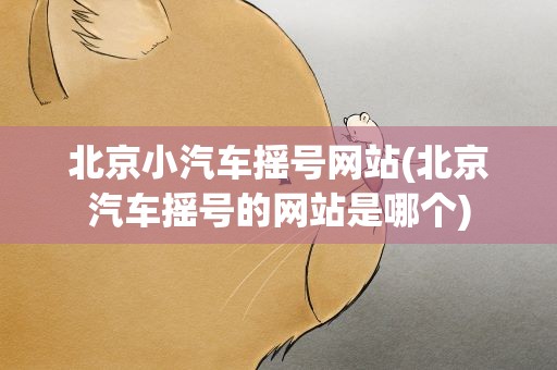 北京小汽车摇号网站(北京汽车摇号的网站是哪个)