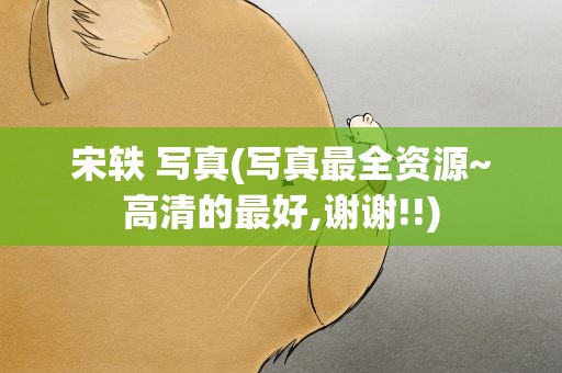 宋轶 写真(写真最全资源~高清的最好,谢谢!!)