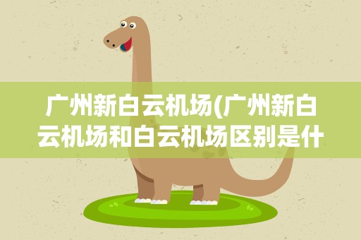 广州新白云机场(广州新白云机场和白云机场区别是什么)