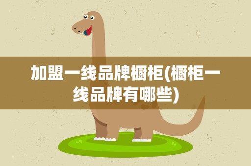 加盟一线品牌橱柜(橱柜一线品牌有哪些)
