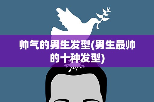 帅气的男生发型(男生最帅的十种发型)
