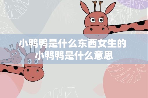 小鸭鸭是什么东西女生的 小鸭鸭是什么意思