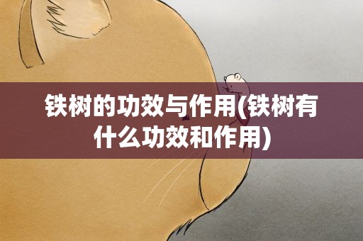 铁树的功效与作用(铁树有什么功效和作用)