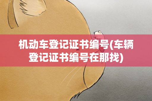 机动车登记证书编号(车辆登记证书编号在那找)