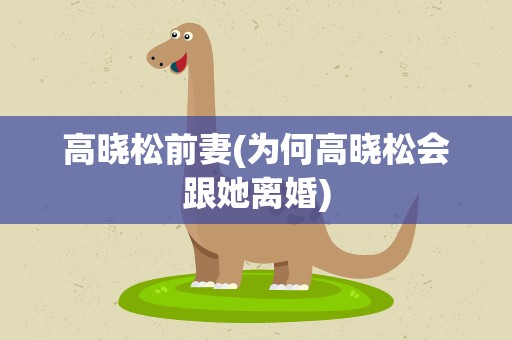 高晓松前妻(为何高晓松会跟她离婚)