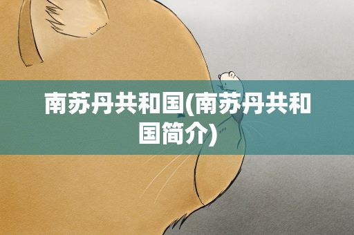 南苏丹共和国(南苏丹共和国简介)
