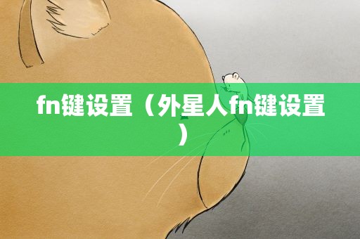 fn键设置（外星人fn键设置）