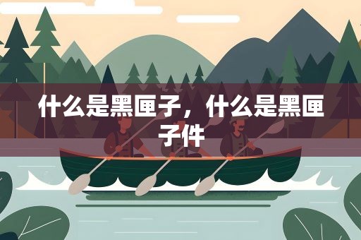 什么是黑匣子，什么是黑匣子件