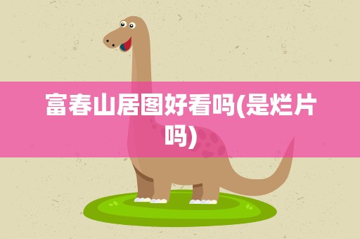 富春山居图好看吗(是烂片吗)
