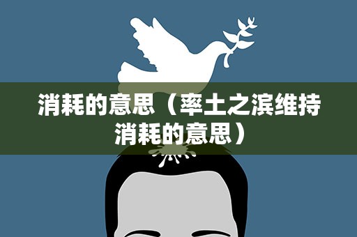消耗的意思（率土之滨维持消耗的意思）