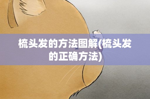 梳头发的方法图解(梳头发的正确方法)