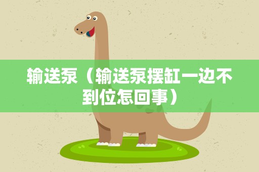 输送泵（输送泵摆缸一边不到位怎回事）
