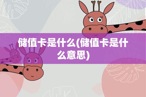 储值卡是什么(储值卡是什么意思)