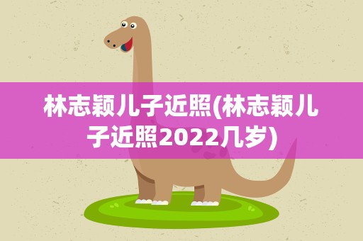 林志颖儿子近照(林志颖儿子近照2022几岁)