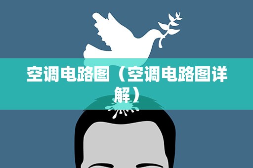 空调电路图（空调电路图详解）