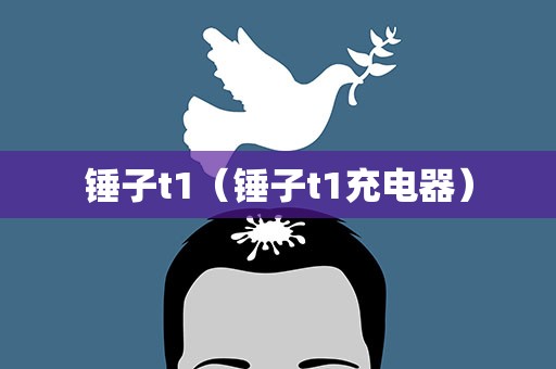 锤子t1（锤子t1充电器）