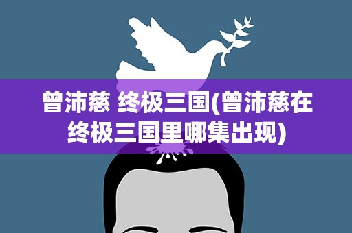 曾沛慈 终极三国(曾沛慈在终极三国里哪集出现)
