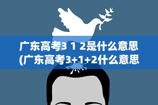 广东高考3 1 2是什么意思(广东高考3+1+2什么意思)