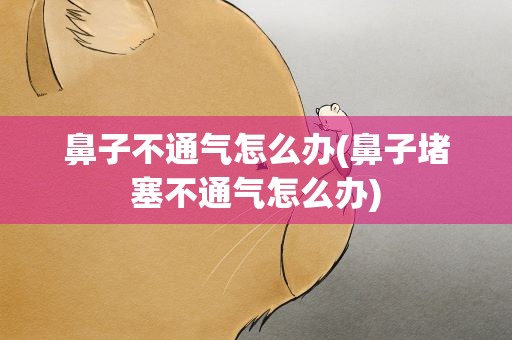 鼻子不通气怎么办(鼻子堵塞不通气怎么办)