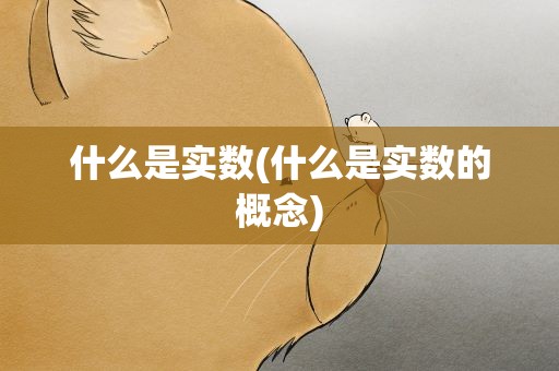 什么是实数(什么是实数的概念)