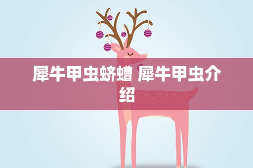 犀牛甲虫蛴螬 犀牛甲虫介绍