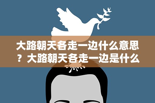 大路朝天各走一边什么意思？大路朝天各走一边是什么歌