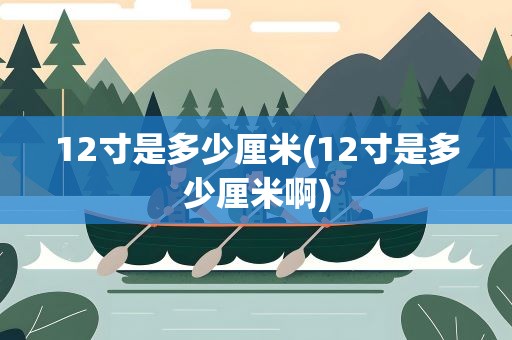 12寸是多少厘米(12寸是多少厘米啊)