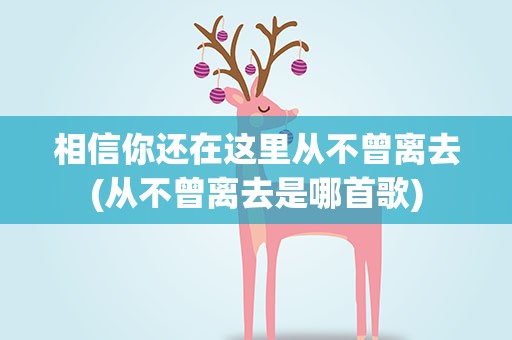 相信你还在这里从不曾离去(从不曾离去是哪首歌)