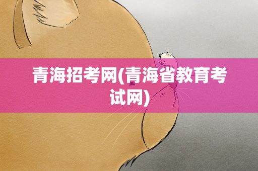 青海招考网(青海省教育考试网)