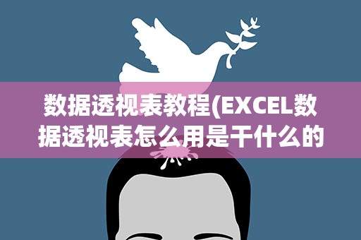 数据透视表教程(EXCEL数据透视表怎么用是干什么的)
