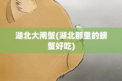 湖北大闸蟹(湖北那里的螃蟹好吃)