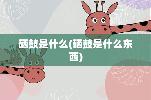硒鼓是什么(硒鼓是什么东西)