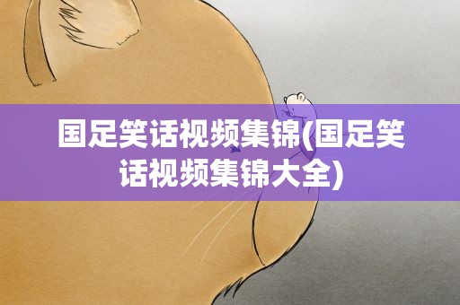 国足笑话视频集锦(国足笑话视频集锦大全)