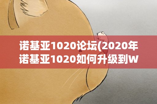 诺基亚1020论坛(2020年诺基亚1020如何升级到WP10)