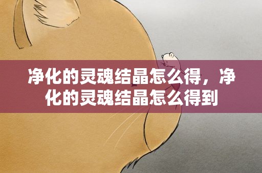 净化的灵魂结晶怎么得，净化的灵魂结晶怎么得到