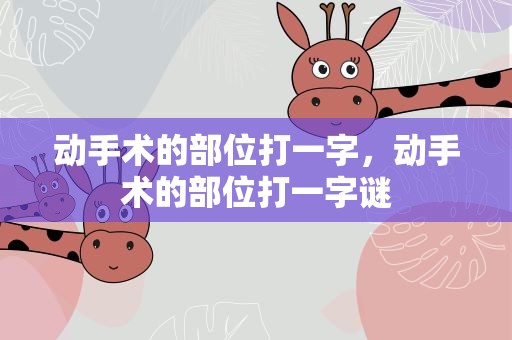 动手术的部位打一字，动手术的部位打一字谜