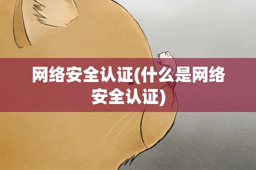 网络安全认证(什么是网络安全认证)
