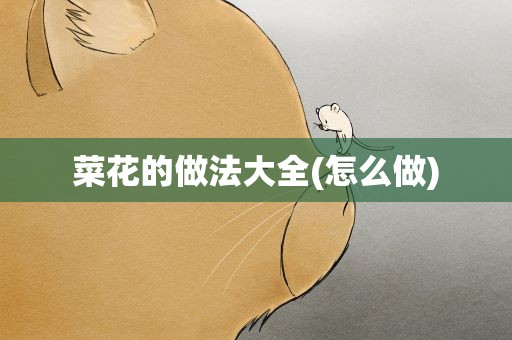 菜花的做法大全(怎么做)