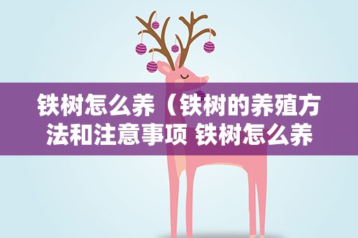 铁树怎么养（铁树的养殖方法和注意事项 铁树怎么养）