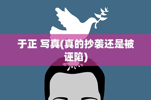 于正 写真(真的抄袭还是被诬陷)