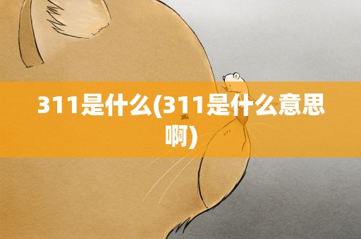 311是什么(311是什么意思啊)