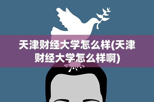 天津财经大学怎么样(天津财经大学怎么样啊)