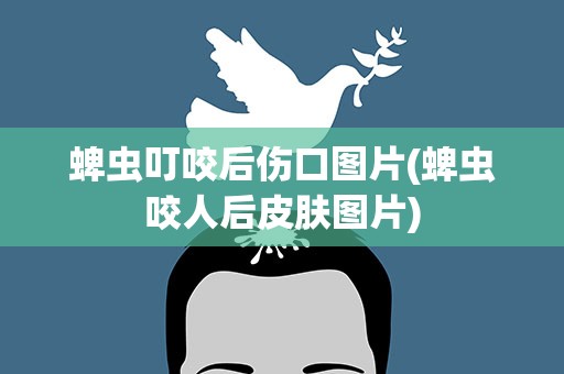 蜱虫叮咬后伤口图片(蜱虫咬人后皮肤图片)