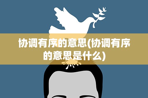 协调有序的意思(协调有序的意思是什么)