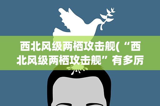 西北风级两栖攻击舰(“西北风级两栖攻击舰”有多厉害)