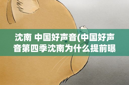 沈南 中国好声音(中国好声音第四季沈南为什么提前曝光)