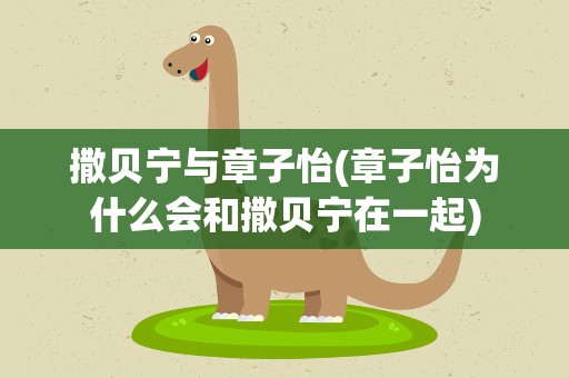 撒贝宁与章子怡(章子怡为什么会和撒贝宁在一起)