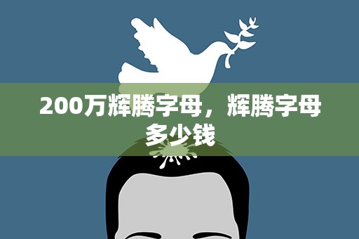 200万辉腾字母，辉腾字母多少钱