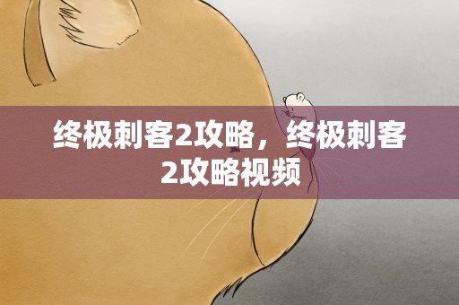 终极刺客2攻略，终极刺客2攻略视频